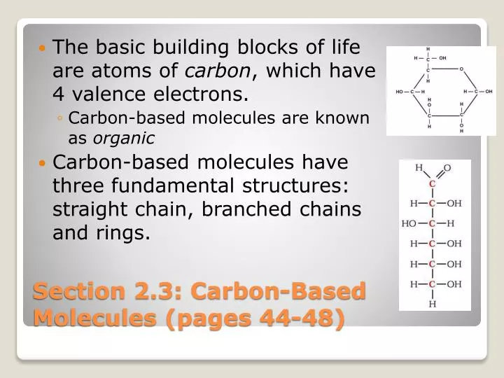 section 2 3 carbon based molecules pages 44 48