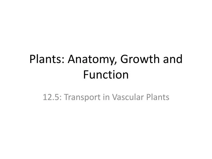 plants anatomy growth and function