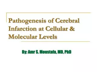 Pathogenesis of Cerebral Infarction at Cellular &amp; Molecular Levels