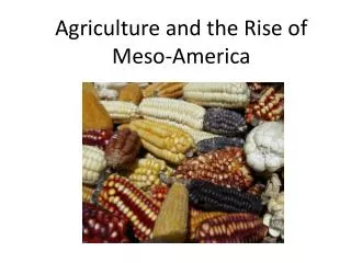 Agriculture and the Rise of Meso -America