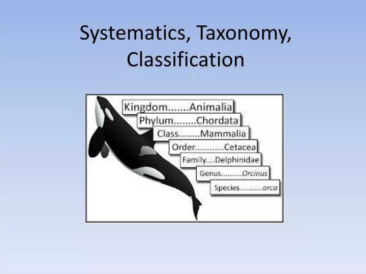 systematics taxonomy classification