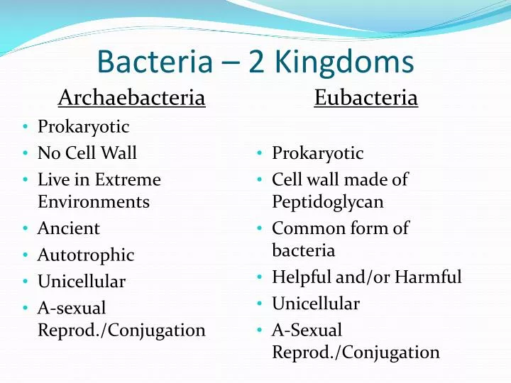 bacteria 2 kingdoms