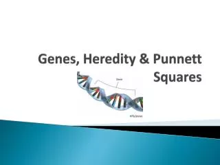 Genes, Heredity &amp; Punnett Squares