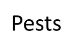 Pests