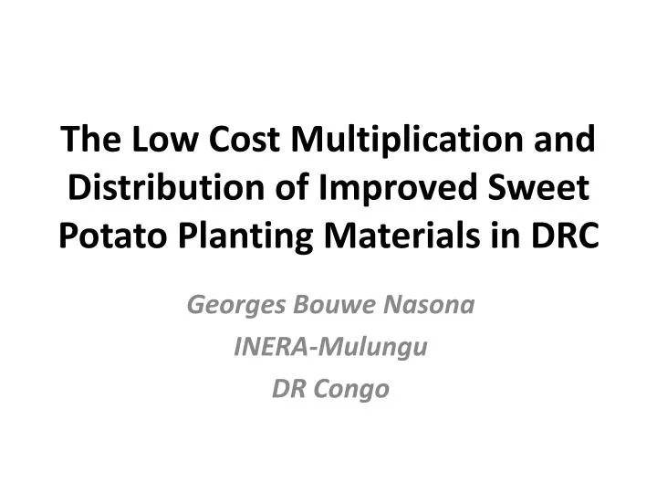 the low cost multiplication and distribution of improved sweet potato planting materials in drc