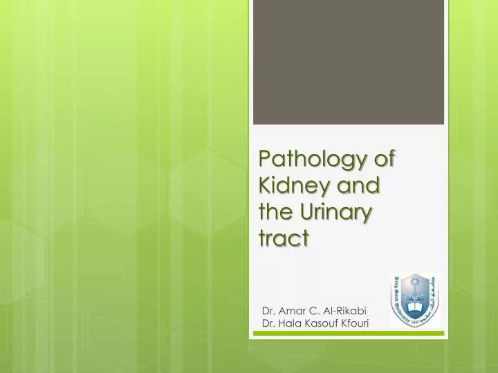 pathology of kidney and the urinary tract