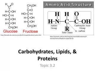 Carbohydrates, Lipids, &amp; Proteins