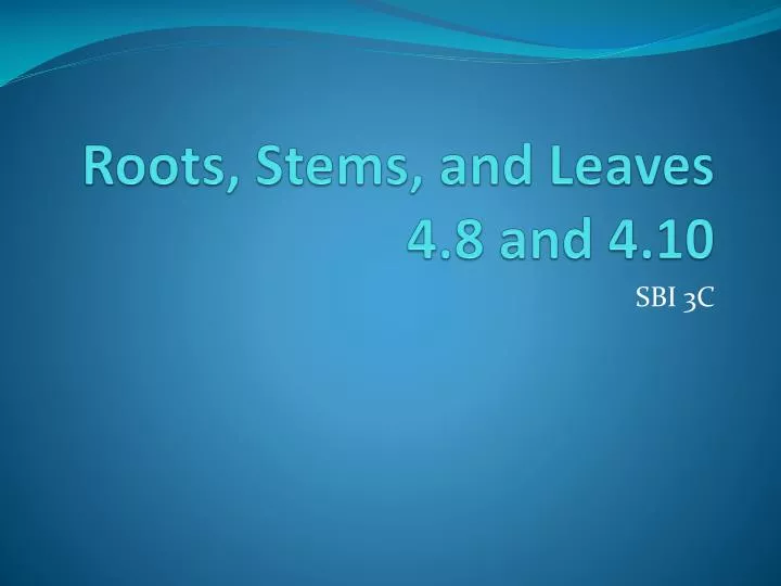 roots stems and leaves 4 8 and 4 10