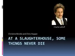 At A Slaughterhouse, Some Things Never Die