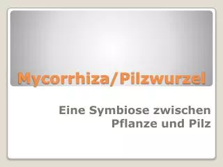 mycorrhiza pilzwurzel