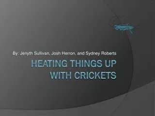 Heating Things up with Crickets