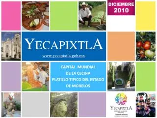 y ecapixtl a www yecapixtla gob mx