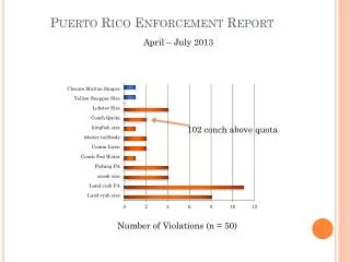 Puerto Rico Enforcement Report