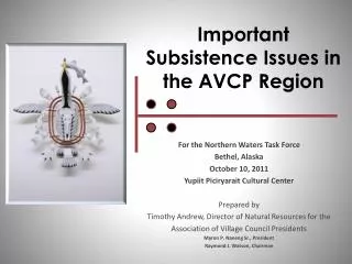 Important Subsistence Issues in the AVCP Region
