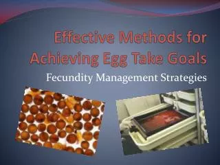 Effective Methods for Achieving Egg Take Goals