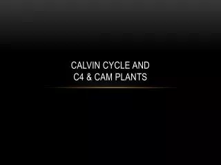 Calvin Cycle and C4 &amp; CAM plants