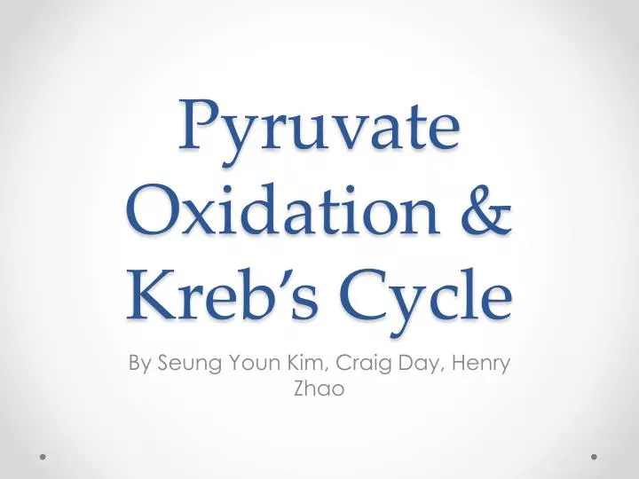 pyruvate oxidation kreb s cycle