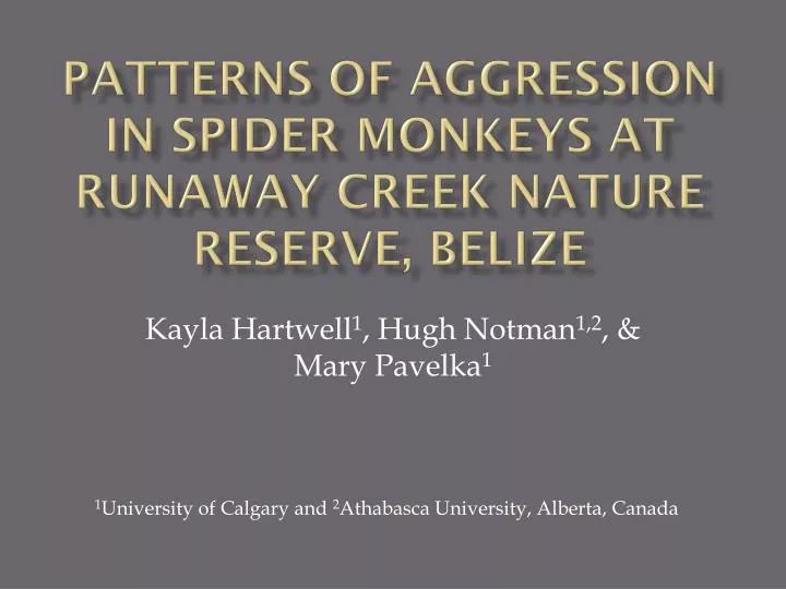 patterns of aggression in spider monkeys at runaway creek nature reserve belize