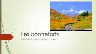 les contreforts