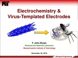 Electrochemistry &amp; Virus- Templated Electrodes