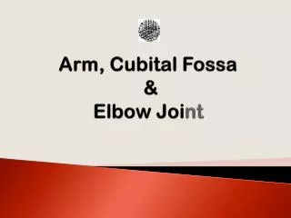 Arm, Cubital Fossa &amp; Elbow Joi nt