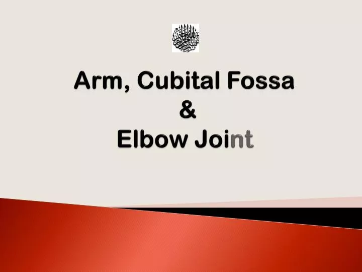 arm cubital fossa elbow joi nt