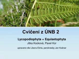 cvi en z nb 2