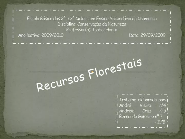 recursos florestais