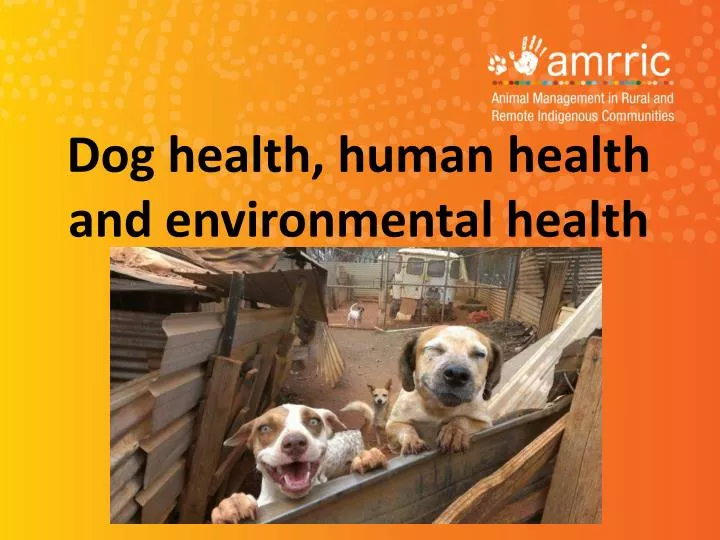 dog health human health and environmental health