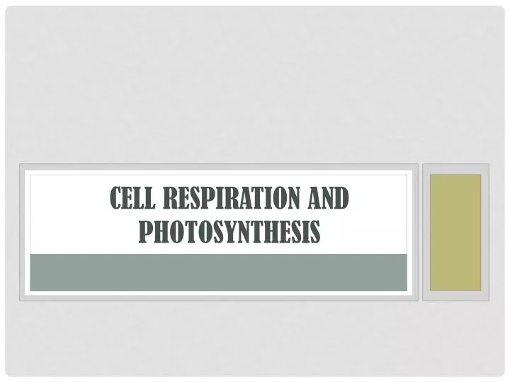 cell respiration and photosynthesis