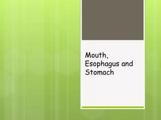 Mouth, Esophagus and Stomach