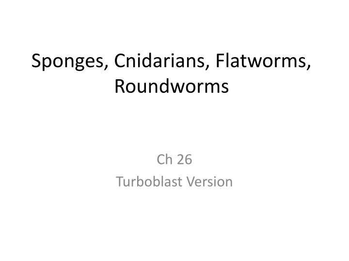 sponges cnidarians flatworms roundworms