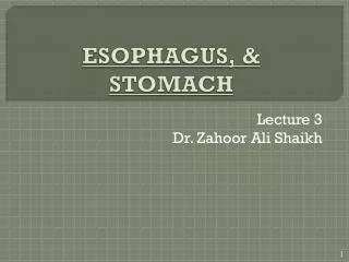 ESOPHAGUS, &amp; STOMACH