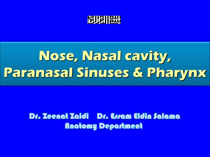 nose nasal cavity paranasal sinuses pharynx