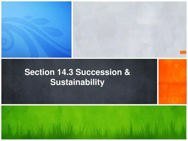 section 14 3 succession sustainability