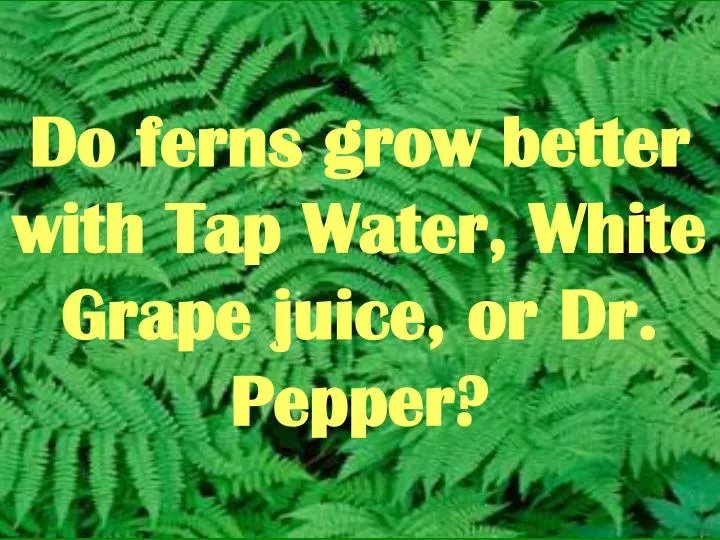 do ferns grow better with tap water white grape juice or dr pepper