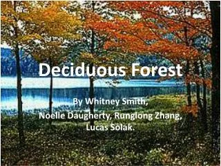 Deciduous Forest