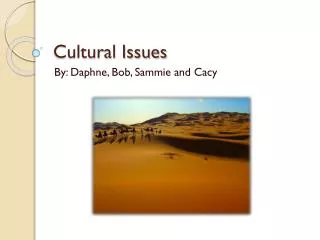 cultural issues