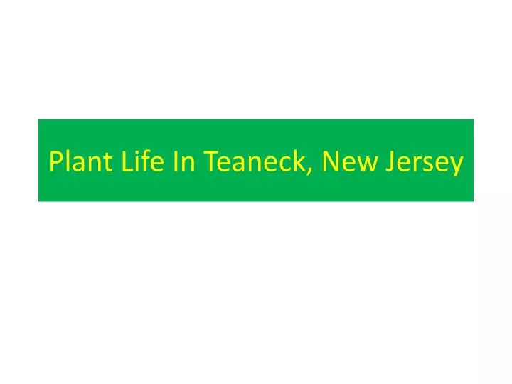 plant life in teaneck new jersey