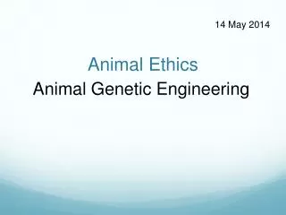 Animal Ethics