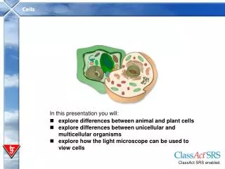 In this presentation you will: explore differences between animal and plant cells