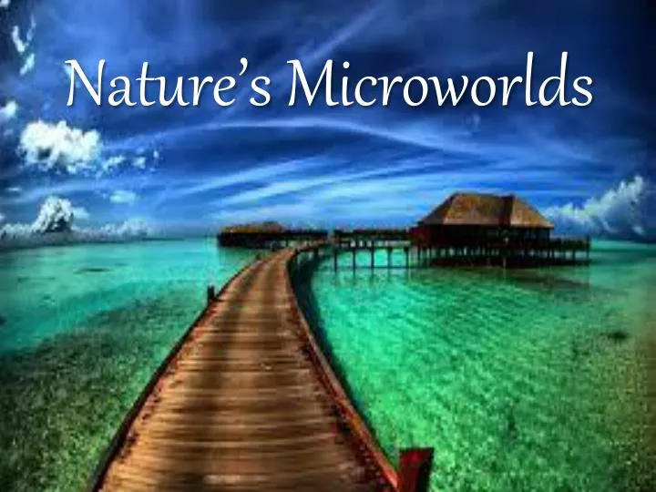 nature s microworlds