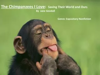 The Chimpanzees I Love : Saving Their World and Ours By Jane Goodall