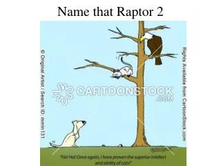 Name that Raptor 2