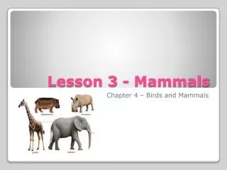 Lesson 3 - Mammals