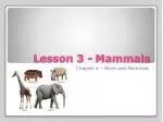 Lesson 3 - Mammals - slide 1