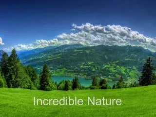 Incredible Nature