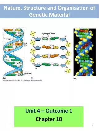 Nature, Structure and Organisation of Genetic Material