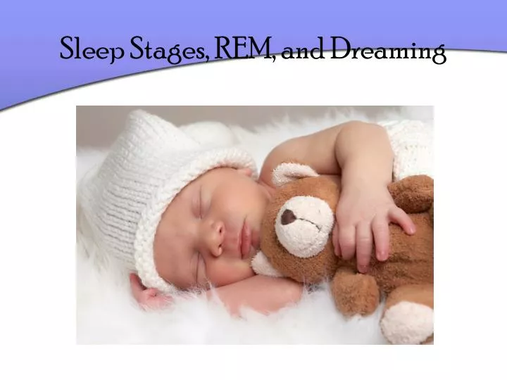 sleep stages rem and dreaming