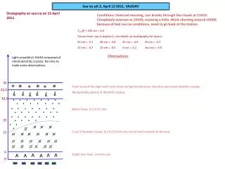 Sea Ice pit 2, April 13 2011, VAUUAV